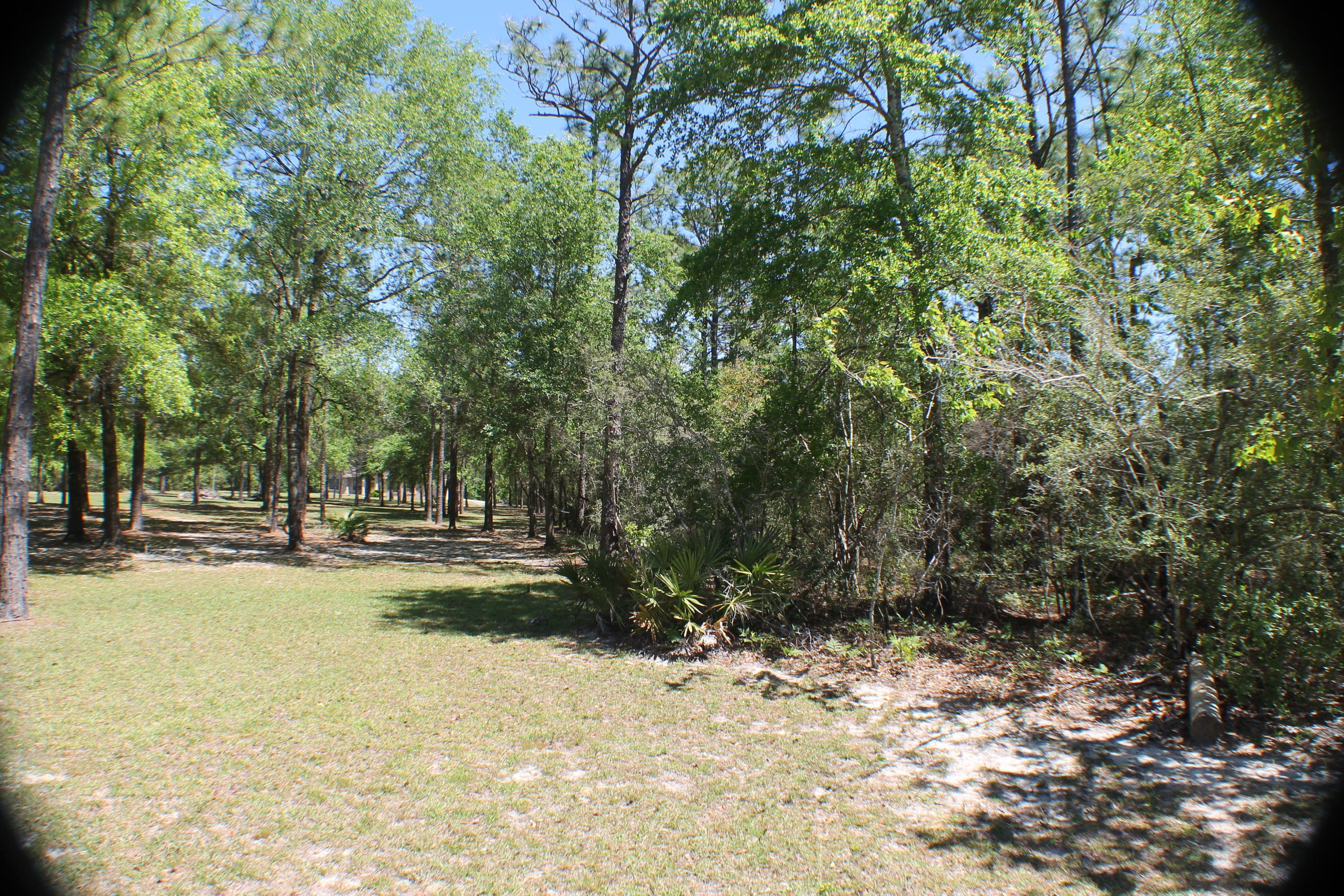 METES & BOUNDS - Land