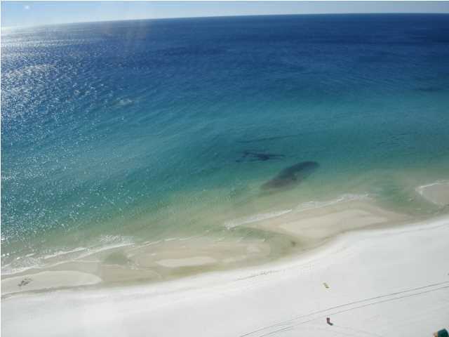 SILVER BEACH TOWERS - Residential