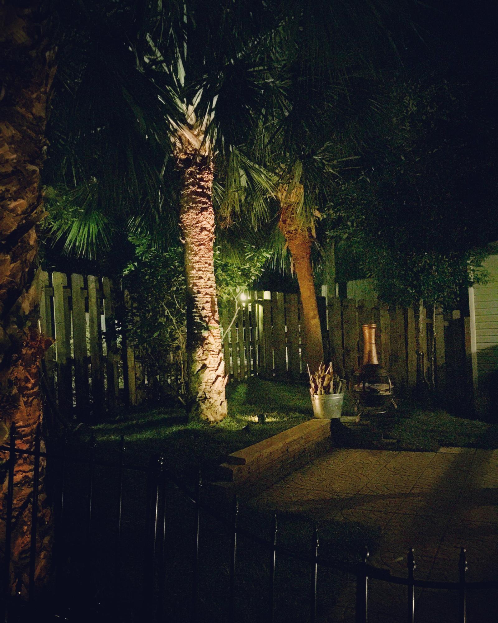 Tropical Beach Walk - Residential