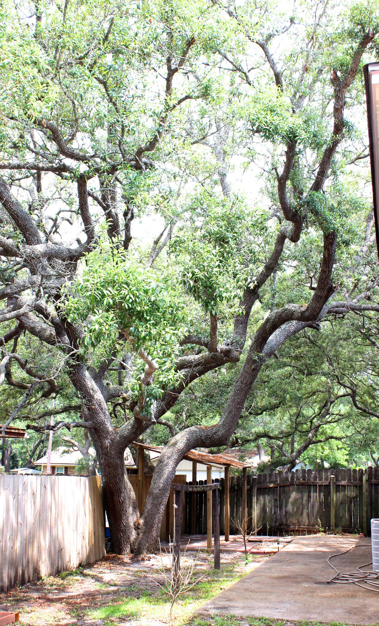 LAKE VIEW ESTATES - Residential