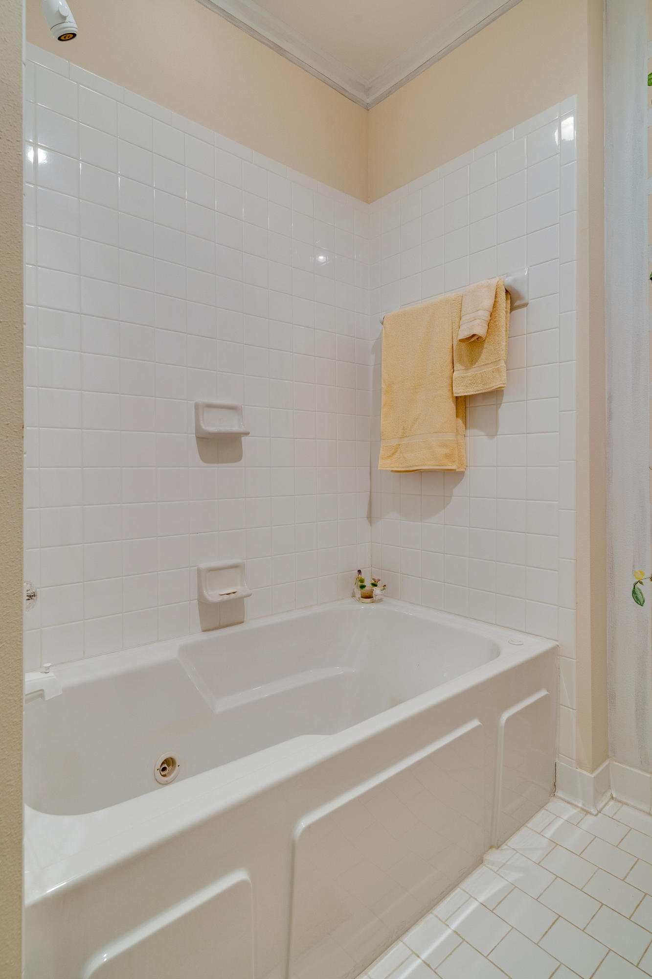 Tivoli Terrace - Residential