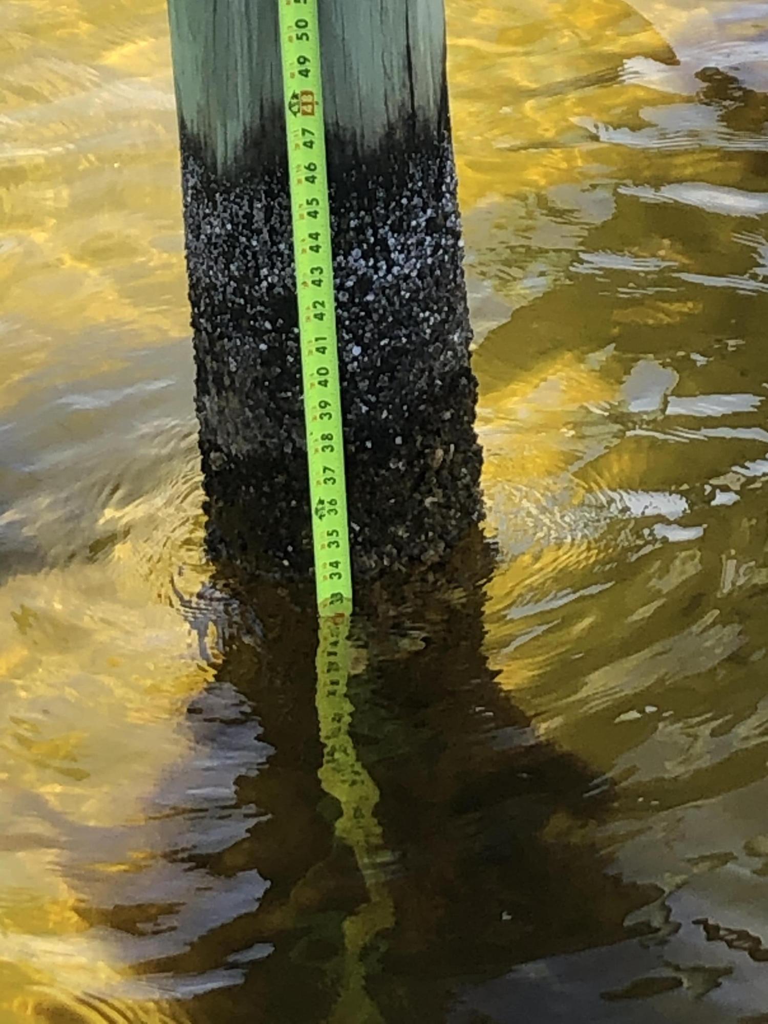 Elliot Point - Residential