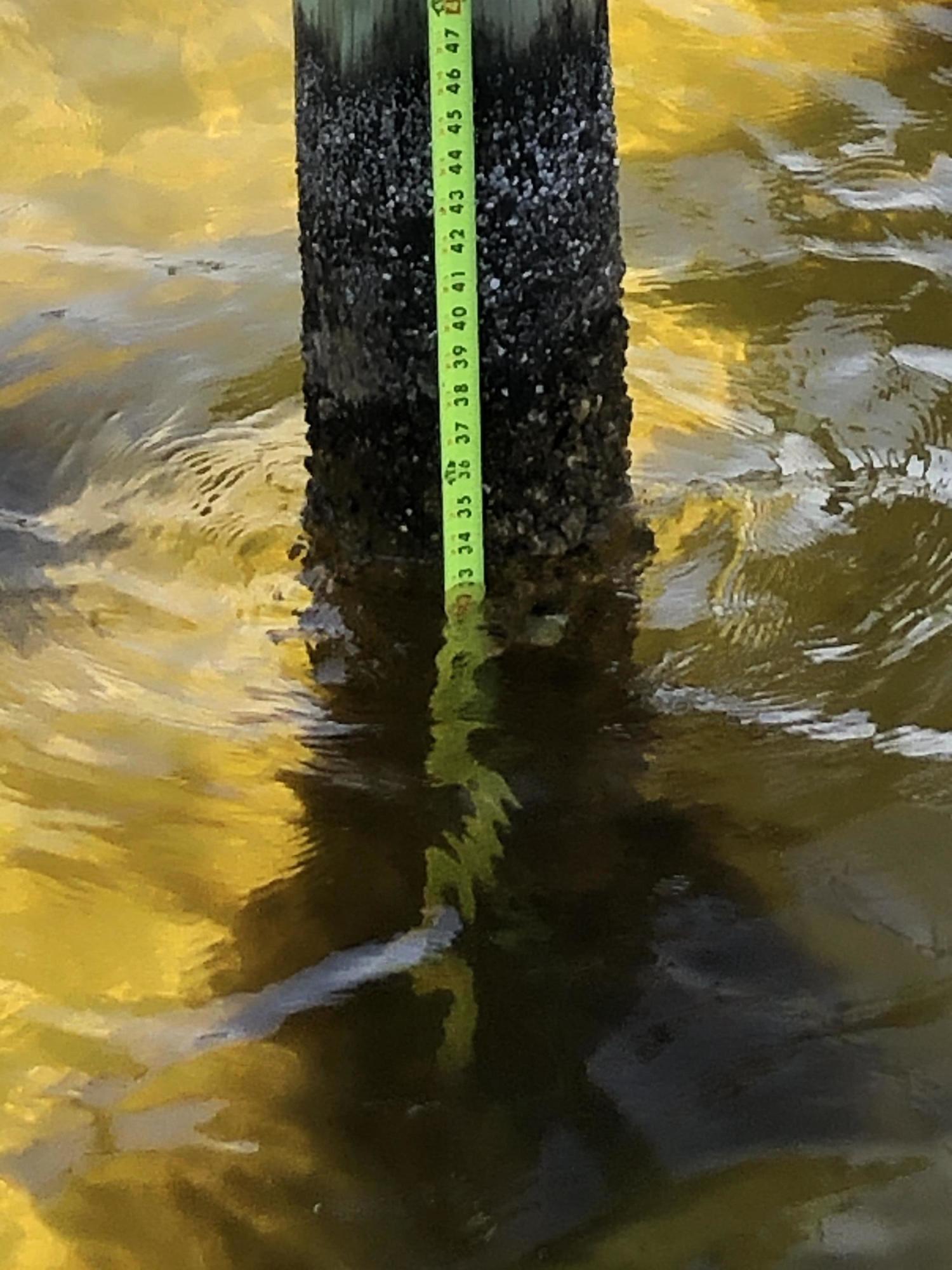 Elliot Point - Residential