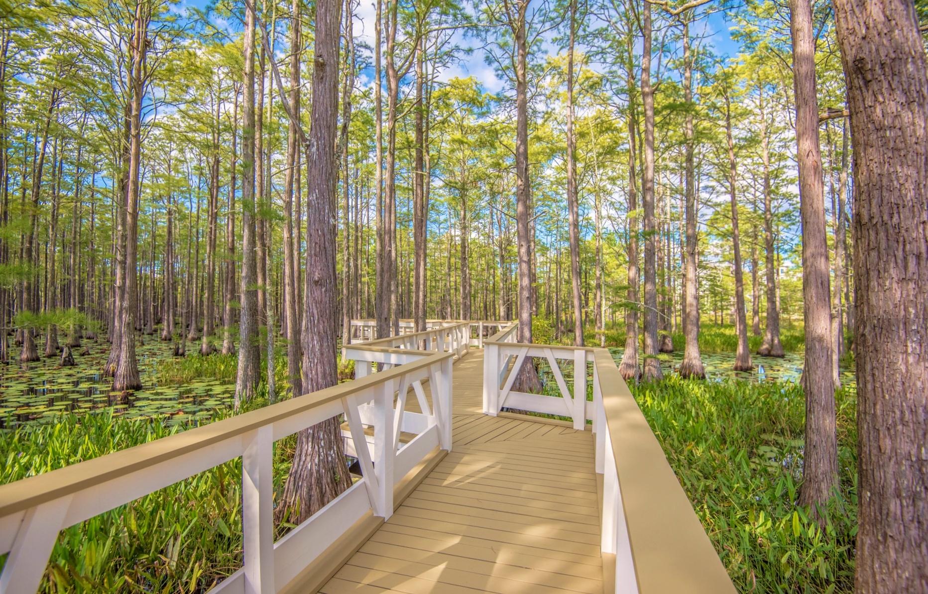 CYPRESS DUNES - Residential