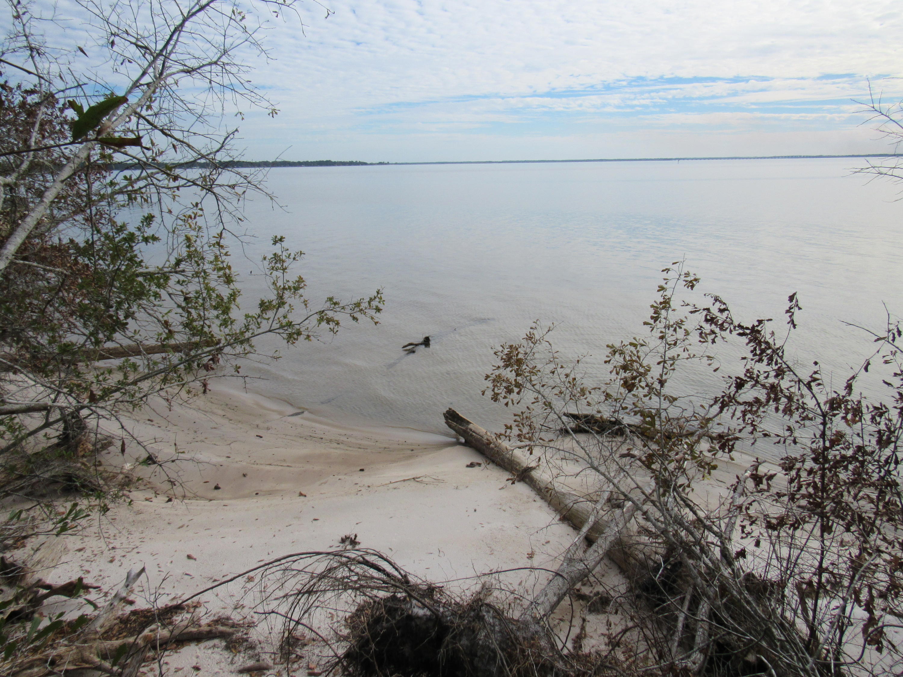 Beautiful sunsets and amazing bay views await you with this 2.57 +/- acre waterfront parcel. Situated on Choctawhatchee Bay, you will find this one-of-a-kind family owned property that has been in the family for over 100 years. The property is wooded and overlooks a white sandy beach. This property is zoned Rural Village and per Walton County, you can build 2 homes per acre here. With over 360 ft. of waterfront, you won't be disappointed if you are looking to build a family estate or develop this parcel. Survey recently completed and attached under photos. New photos and drone video will be coming soon. Call for your tour today!
