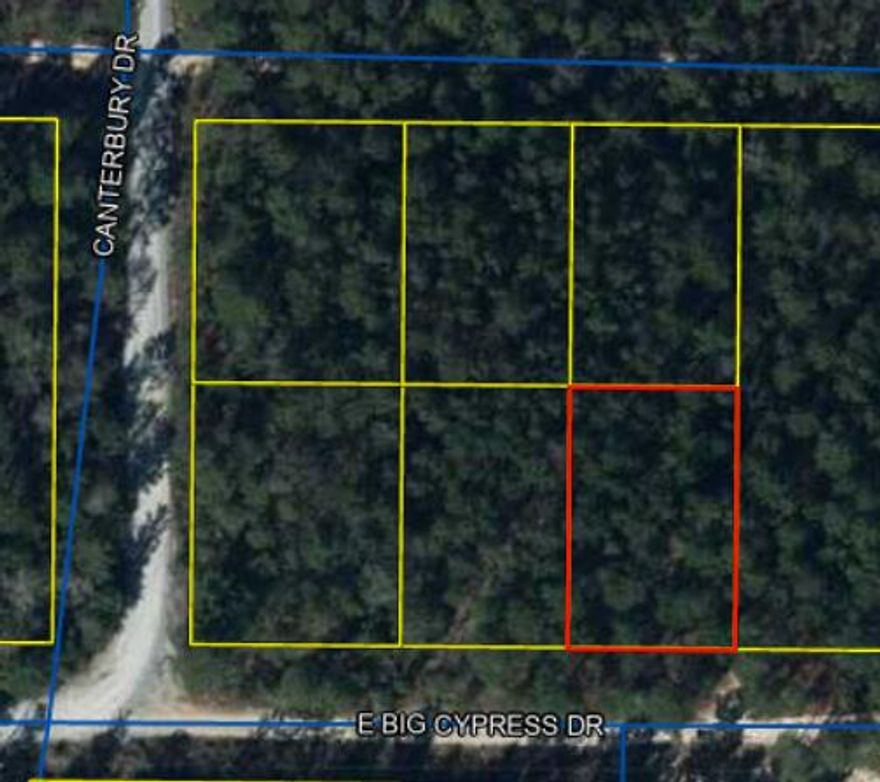 Great flat lot in the Mossy Head area.  Flood Zone X.  Well and Septic required.  Bring your manufactured home!2 adjacent lots available as well.