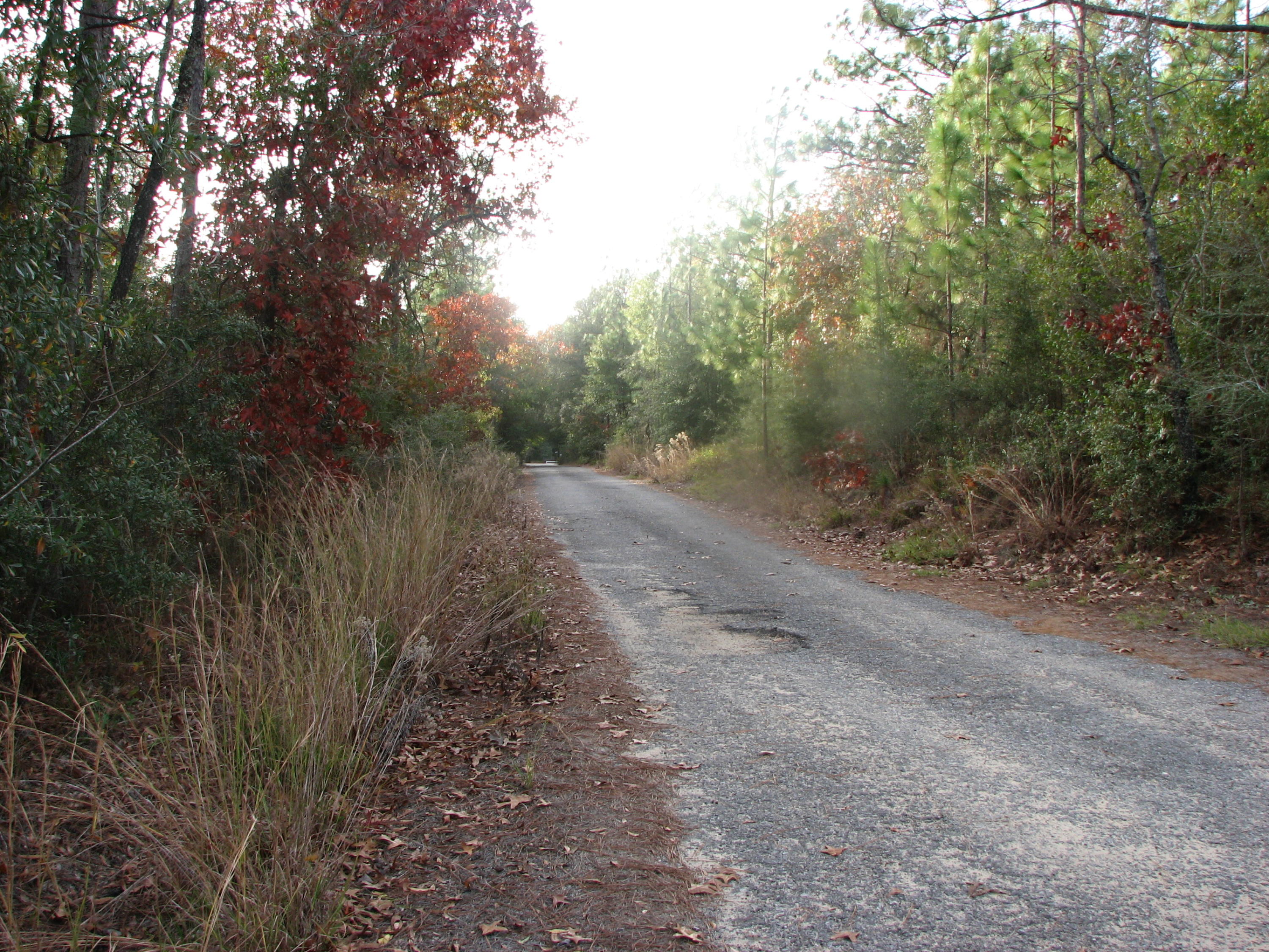 LAKEWOOD ESTATES - Land