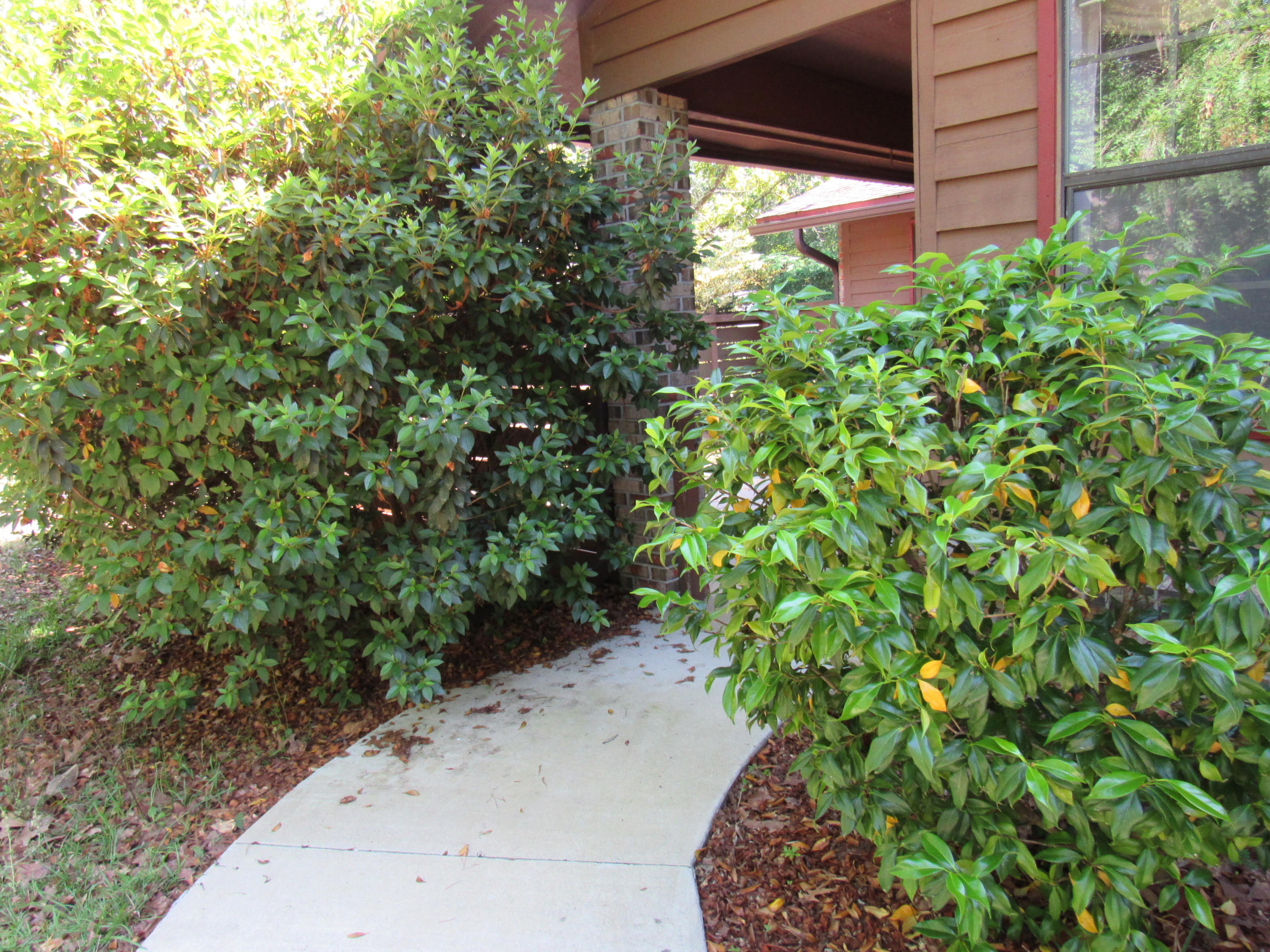 BLUEWATER BAY VILLAGE - Residential