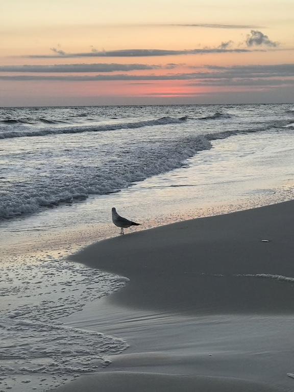 South Shores - Residential