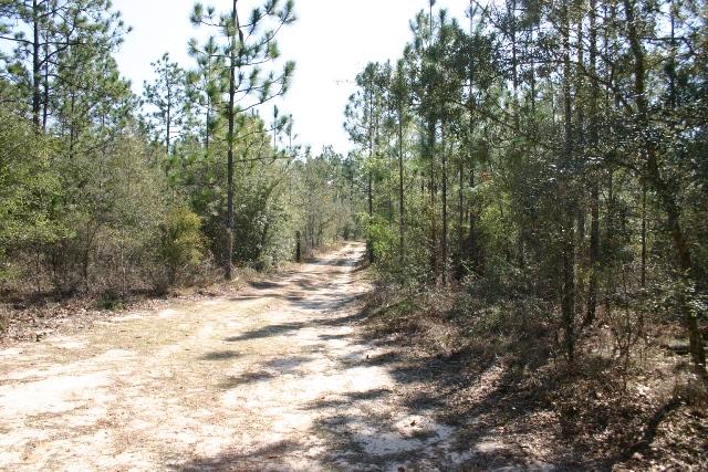 HILLCREST GROVE - Residential