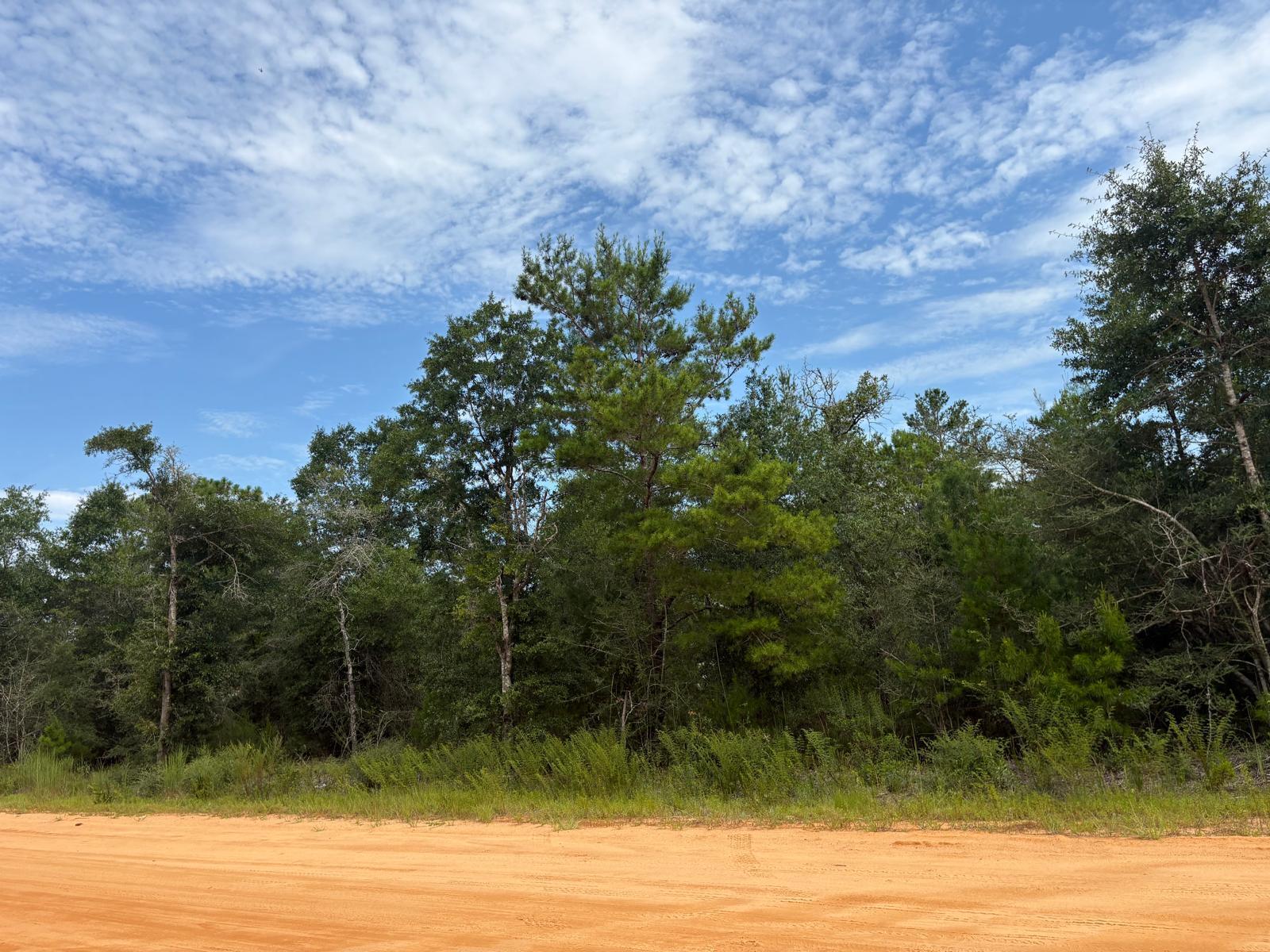 Double the Lots, Double the Potential, Double the revenue!Personal retreat? Rental opportunity? Long-term investment perhaps? Discover 0.573 acres on W Royal Palm Ave, DeFuniak Springs, perfectly positioned between DeFuniak and Mossy Head. This spacious parcel offers the flexibility to bring your vision to life.City water is available (tap fee required) and power is just down the road--making it easy to start building. Septic would be required. Build 1 home or 2 homes and unlock the full investment potential. Mobile Homes allowed. With endless possibilities and a prime location, your Florida adventure starts here! Buyer needs to verify building codes, zoning regulations, wetlands and flood zones, etc with proper local authorities to ensure buyer will be able to utilize the property for intended use. Information contained within this listing is deemed to be to be accurate but is not guaranteed.
