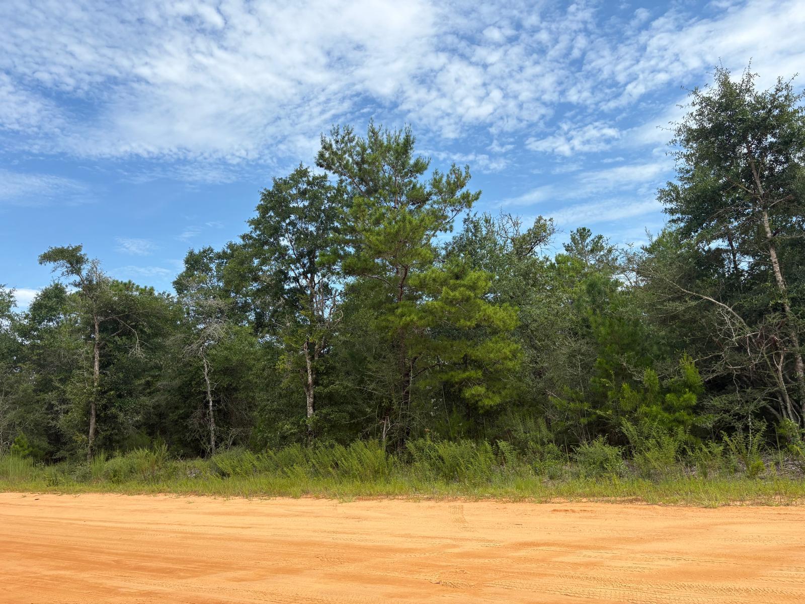 OAKWOOD HILLS UNIT 1 - Land