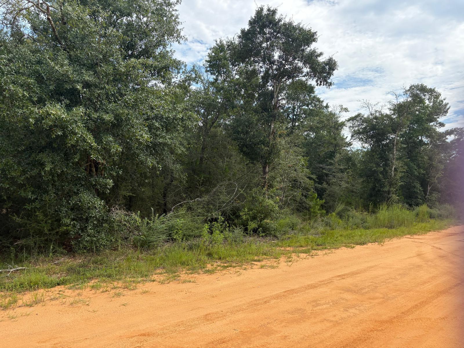 OAKWOOD HILLS UNIT 1 - Land