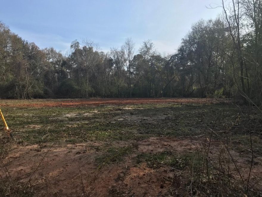 Bring your house plans and come build your Dream Home and relax in the Country!This is a 10 acre tract that has been recently split into two 5 acre tracts and they will have their own Parcel ID#s. Property can be purchased in 5 acre tracts or the entire 10 acres. There is also 10 acres for sale as well to the West of this tract.Survey available.