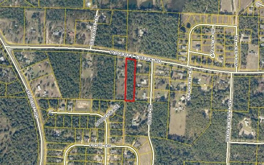 Wooded land just outside of town, less than 5 miles from schools, shopping and churches. Property is level and located on a paved road. The current zoning is Residential 1 and the Future Land Use is LDR, Low Density Residential. This would be an ideal home site offering a woodsy, secluded landscape. Take a look today!