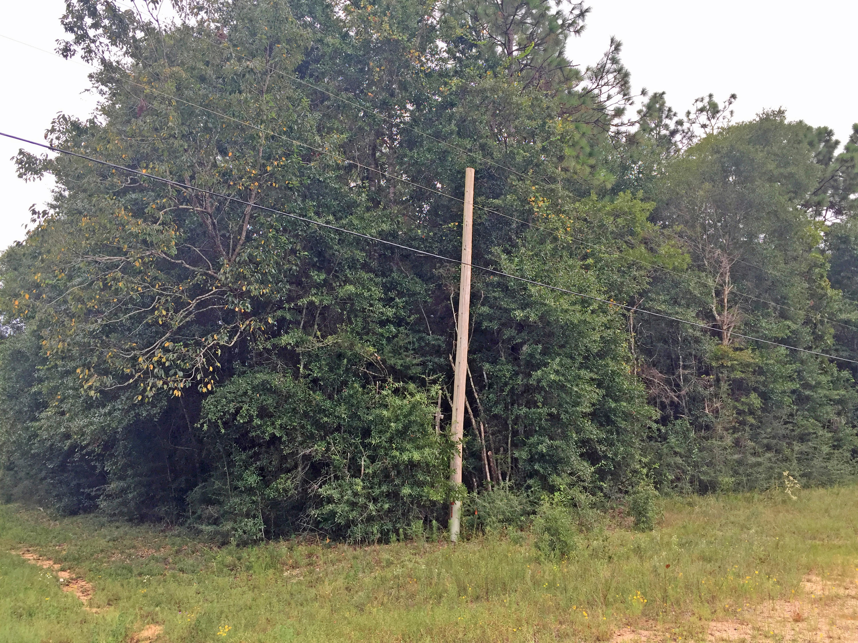 Metes & Bounds - Land