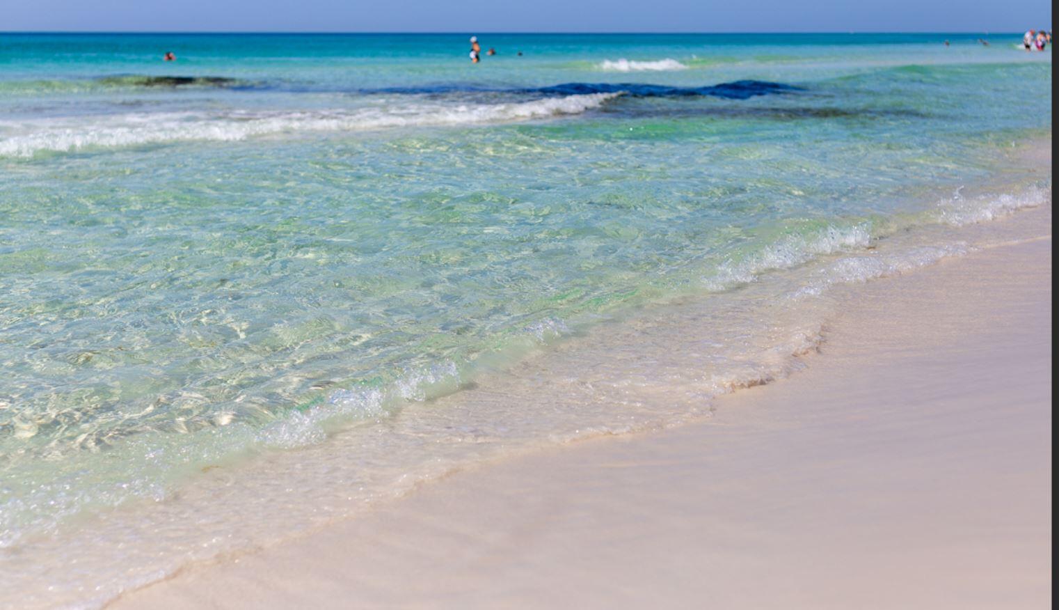 The Grove - Residential