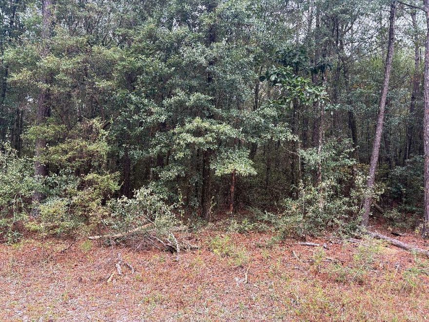 ONLY A FEW LOTS LEFT IN THE SOUGHT AFTER SUBDIVISION OF LAKE ARTHUR. CLOSE TO ALL SHOPPING AMENITIES AND LESS THAN AN HOUR TO OUR GULF COAST BEACHES. VERY NICE HOMES IN THIS SUBDIVISION.