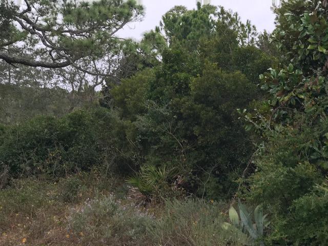 SOUND HAMMOCK - Land