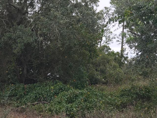 SOUND HAMMOCK - Land