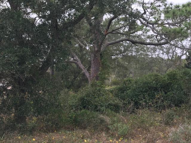 SOUND HAMMOCK - Land