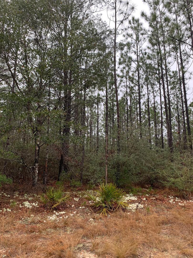 30 acre tract of land on Rock Hill Rd, convenient to Freeport, Defuniak, and short drive to the beaches of south Walton. Only 4 miles to Hwy 331S. Difficult to find a large tract like this on Rock Hill Rd. Pick out your spot to build a home or put a mobile home. Corners Rock Hill Rd and K & M Farm Rd. About 685 feet frontage on Rock Hill Rd and 1300 feet on K & M Farm Rd. Seller states there is a stream on property. Wooded with mostly pine trees. Call today!