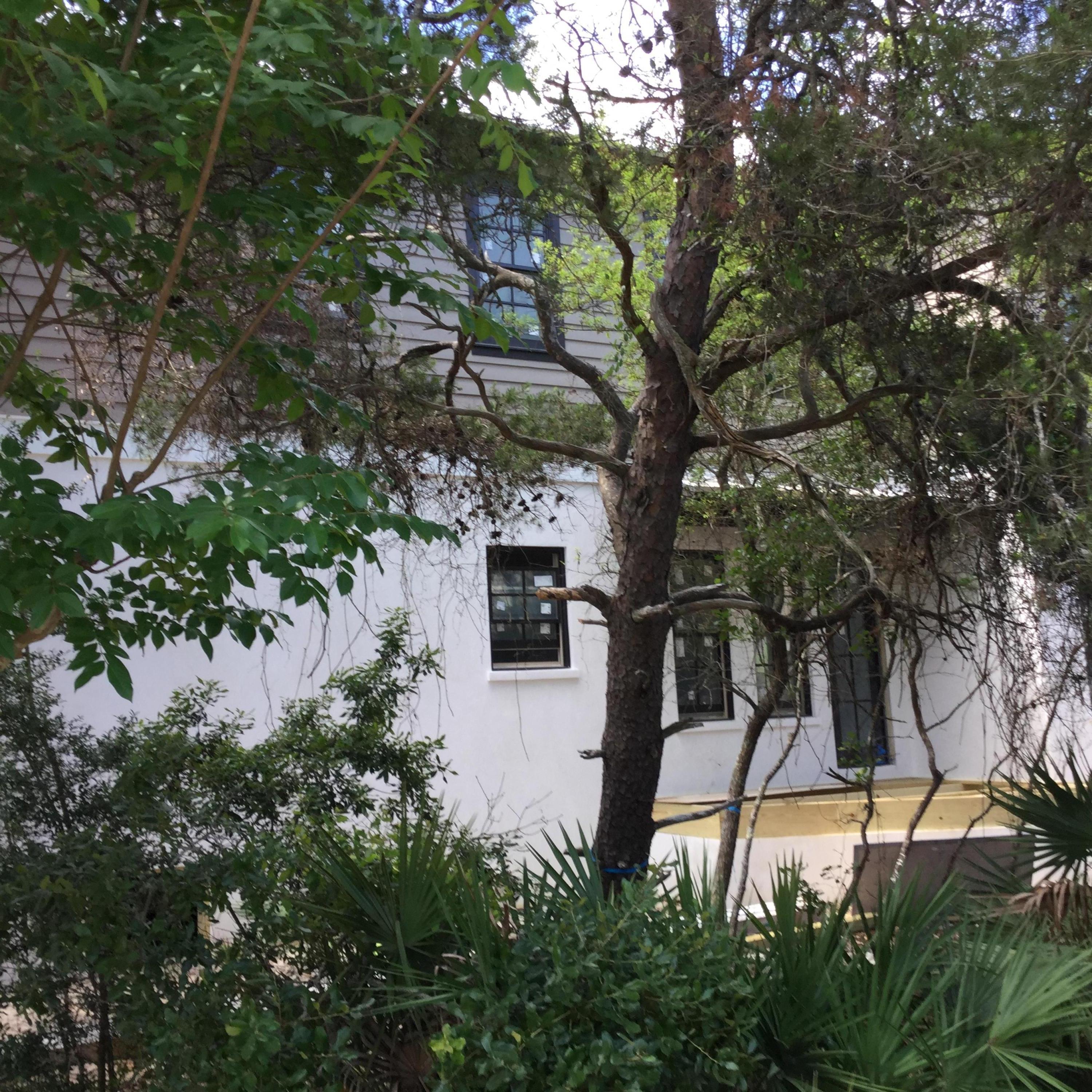 PINECREST AT INLET BEACH - Residential
