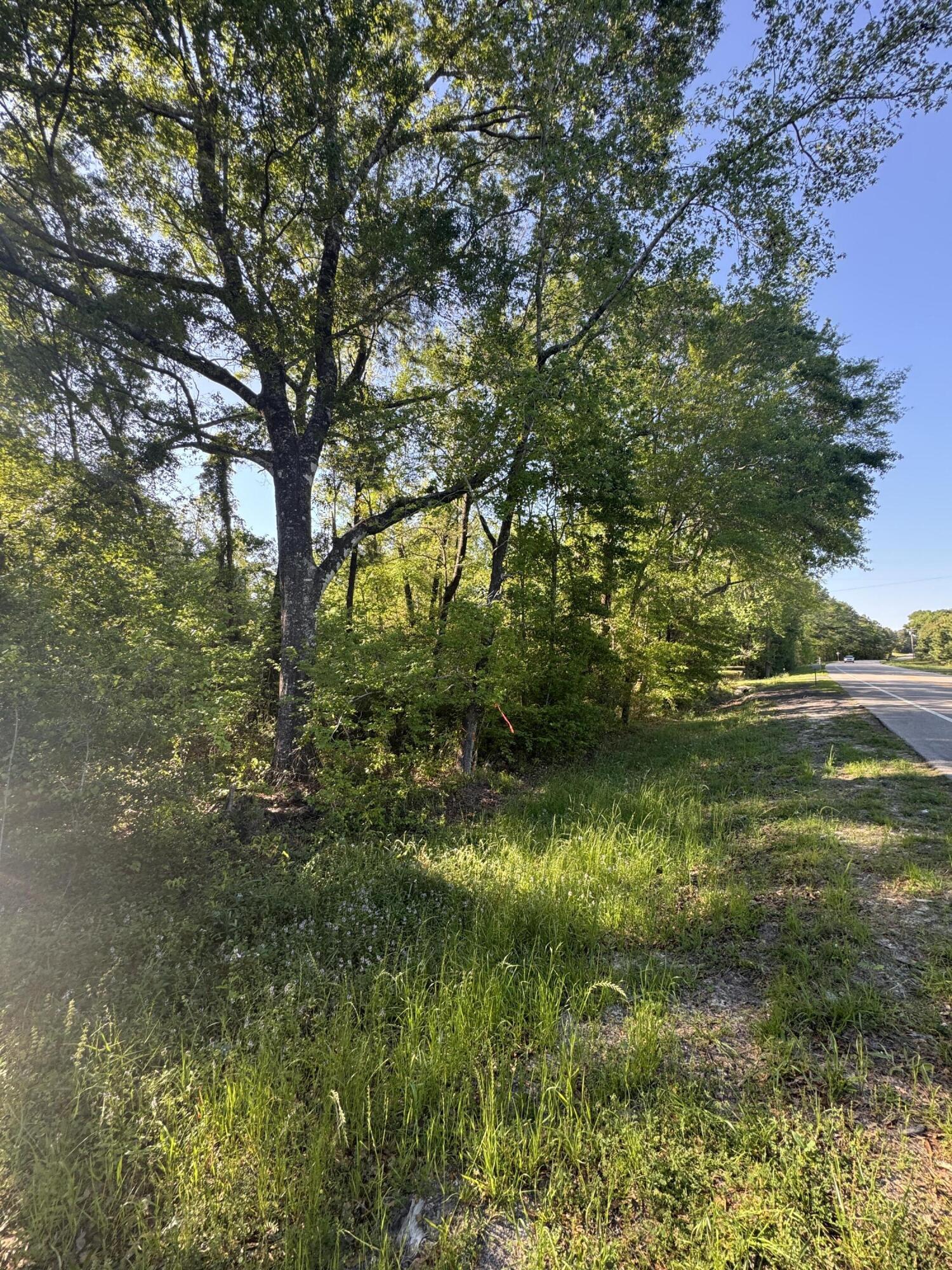 Hwy 81 Homes Site - Land