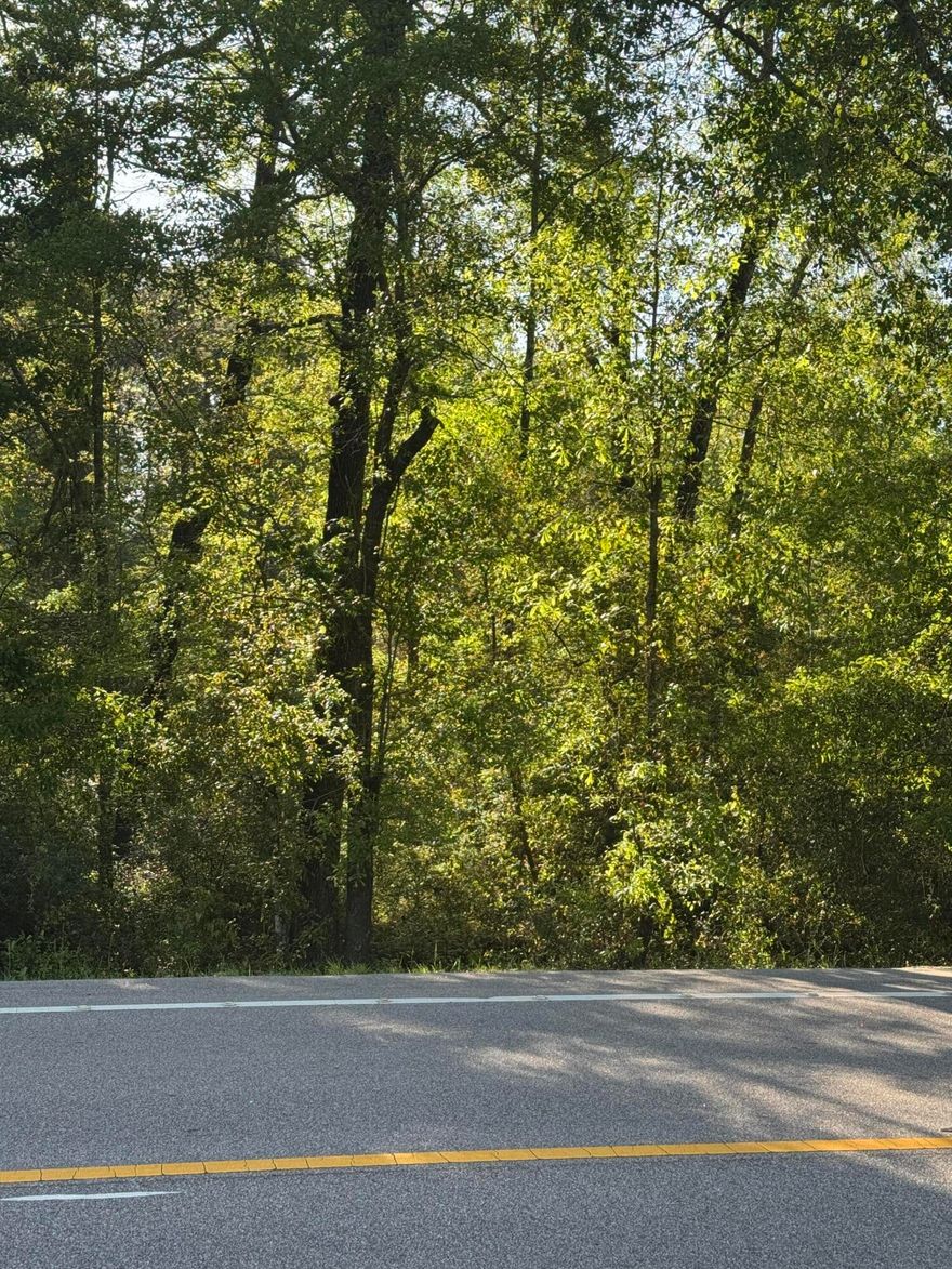 Escape to the quiet life with this affordable 0.51-acre wooded homesite, perfectly situated in a tranquil country setting. Enjoy the best of both worlds--natural beauty and easy access, thanks to paved road frontage right to your property. This lot offers privacy and shade, making it the ideal spot to build your dream home.  Manufactured homes are welcome! With no HOA and a quiet country lifestyle, your dream can come true. this could be the spot you've been looking for.