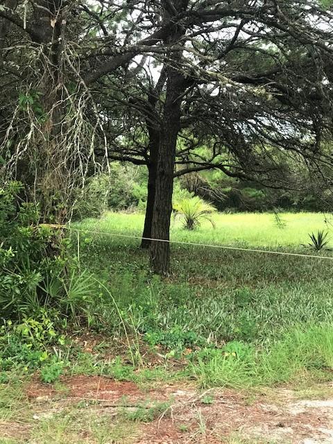 Tranquil lot nestled near the beaches of 30A. Build the home of your dreams without the restrictions and fees of a community HOA. It's just a brief walk to the beach and a bike ride away from 30A's shopping, dining, and entertainment. This lot is cleared and has an active water meter also in Flood Zone X.