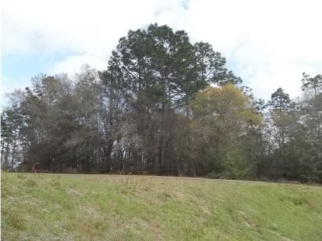 RIVERSIDE NORTH - Land