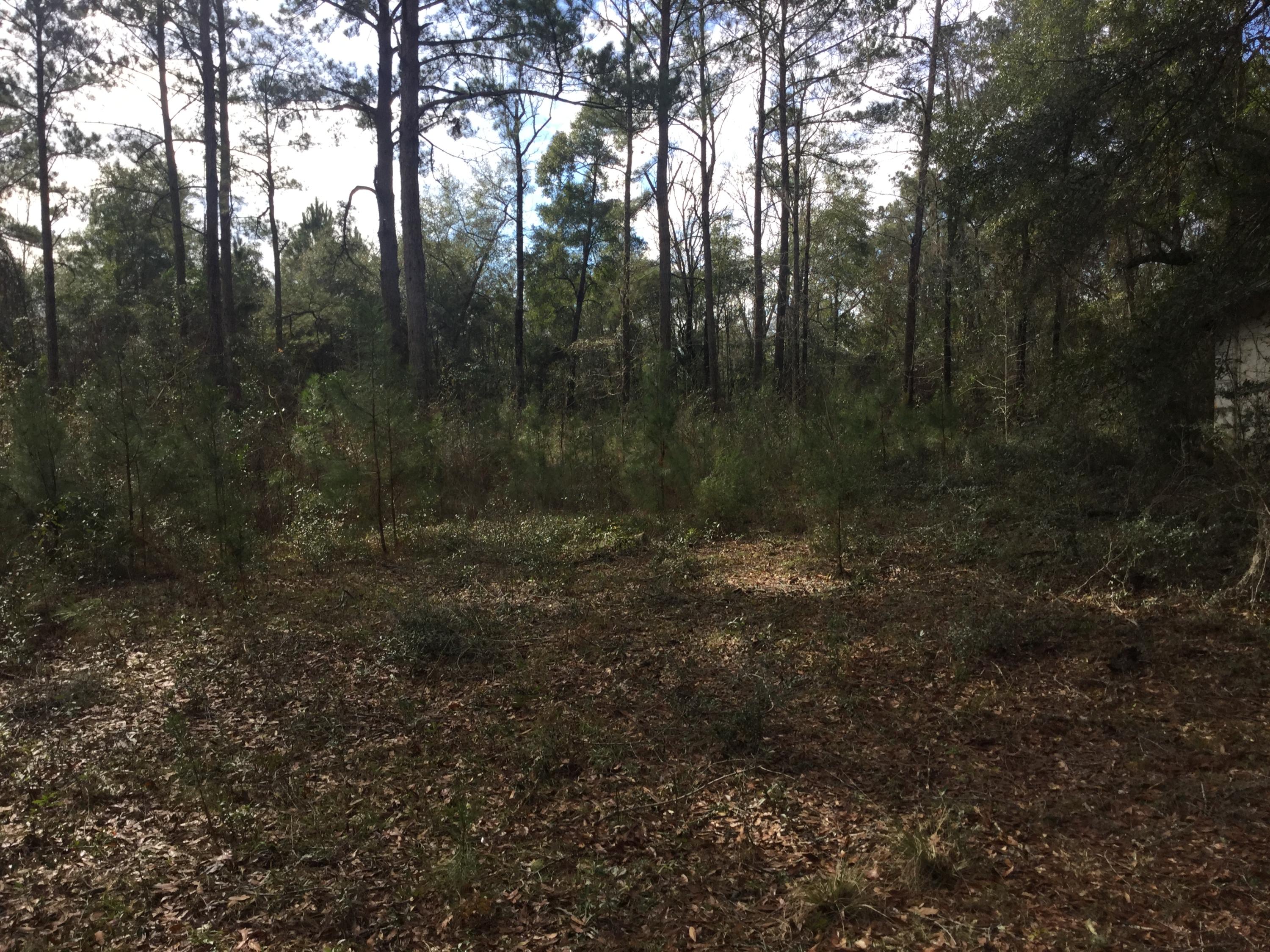 NONESUCH WAY - Residential