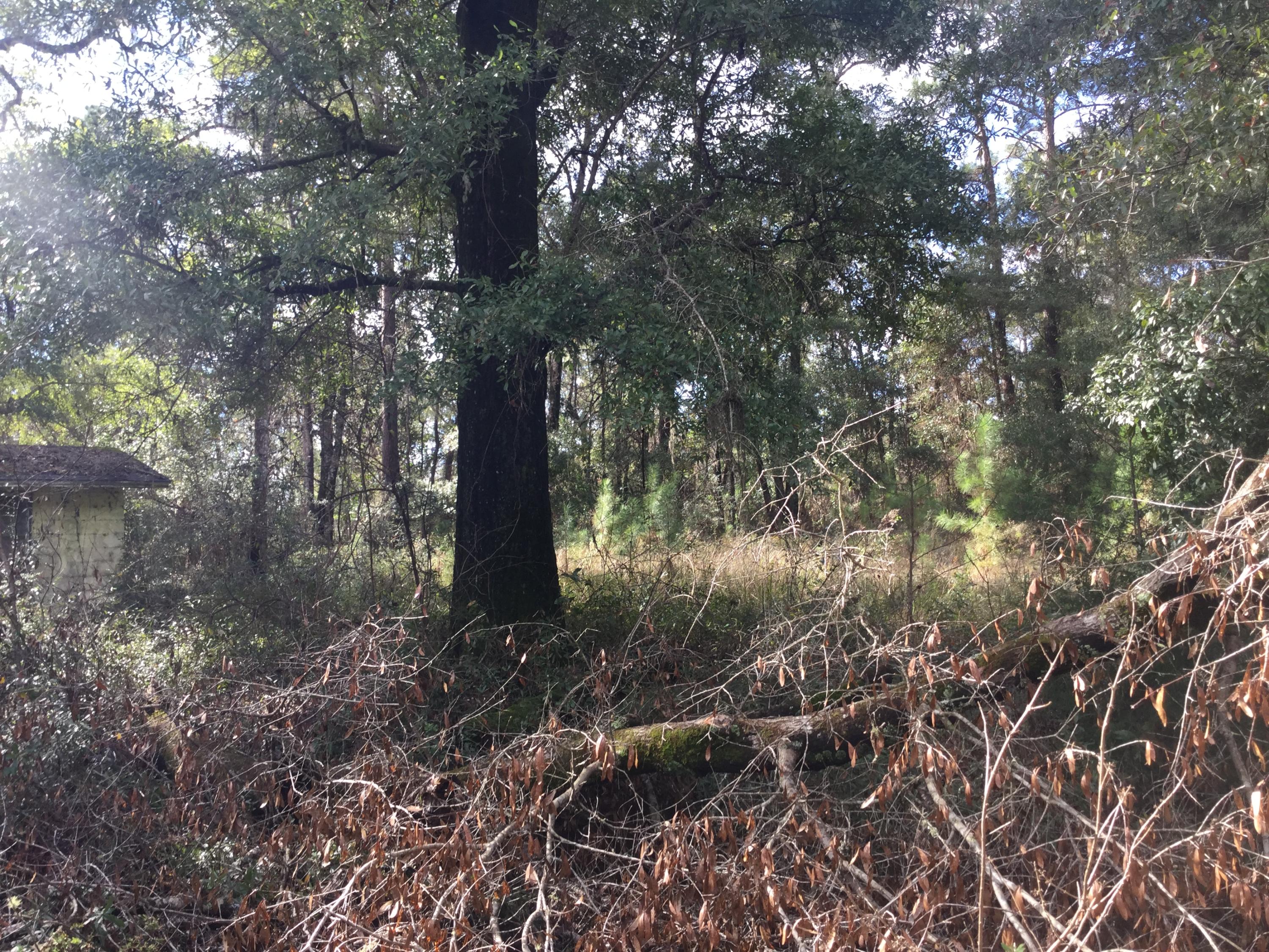 NONESUCH WAY - Residential