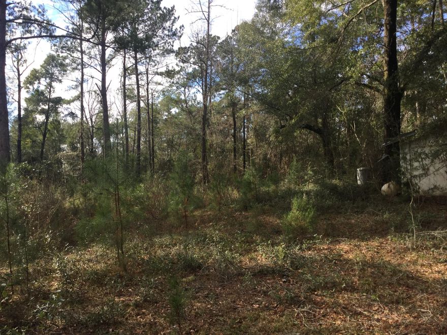 Block house on a great piece of property. House is uninhabitable in its current condition and has already been completely gutted. The home was a cute yellow Florida cottage in its glory days. So let your imagination run wild at all the possibilities for this property.