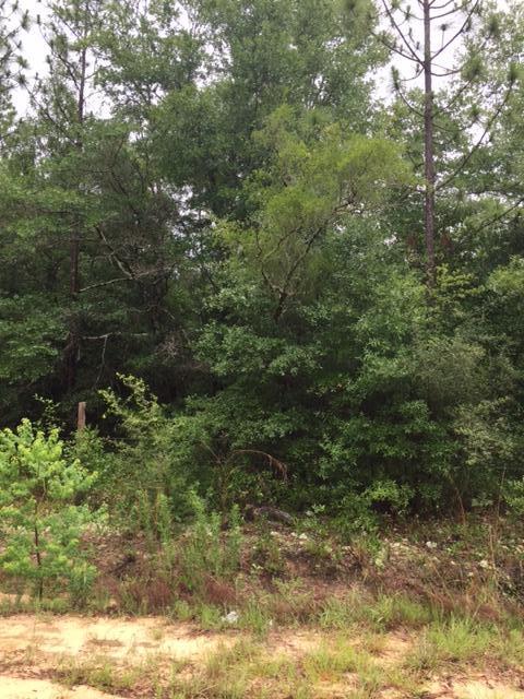 none recorded - Land