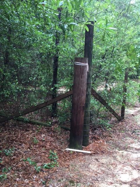 none recorded - Land