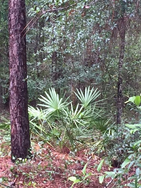 none recorded - Land