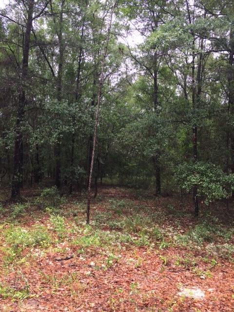 none recorded - Land