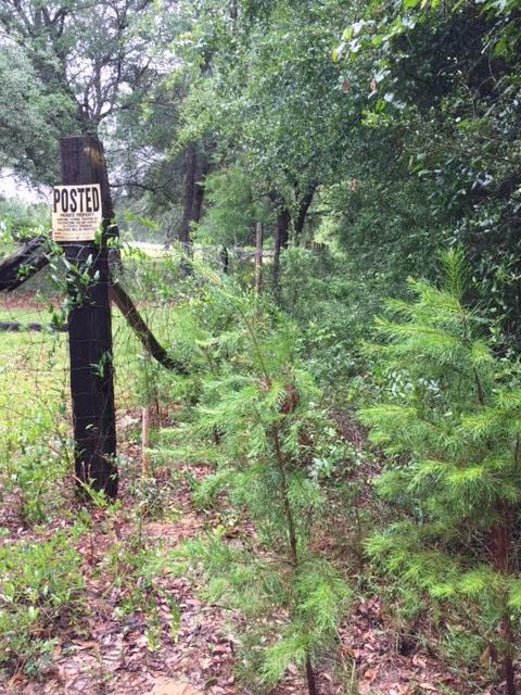 none recorded - Land