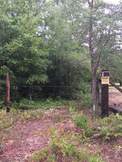 none recorded - Land