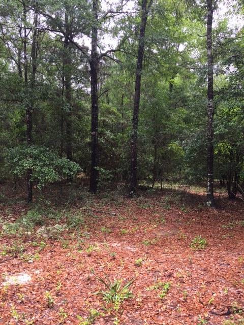 none recorded - Land