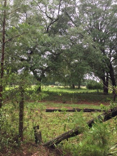 none recorded - Land