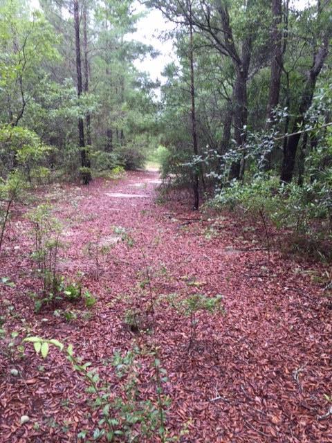 none recorded - Land