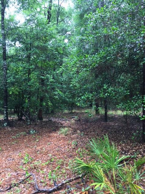 none recorded - Land