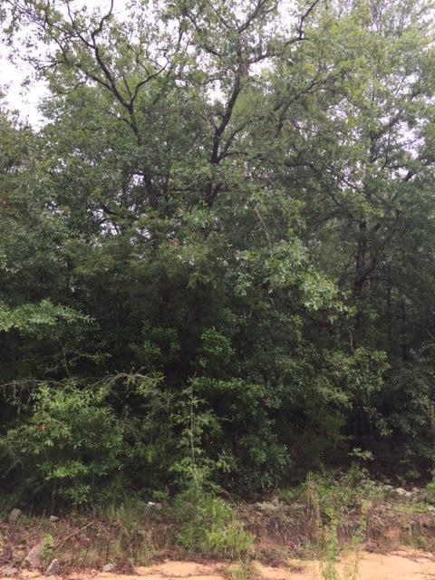 none recorded - Land