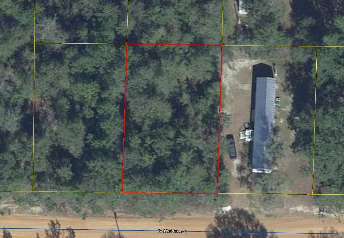 Lot 18 Beautiful wooded lot located in Mossy Head near Hwy 285/interstate exchange. Lot measurements subject to an up to date survey.
