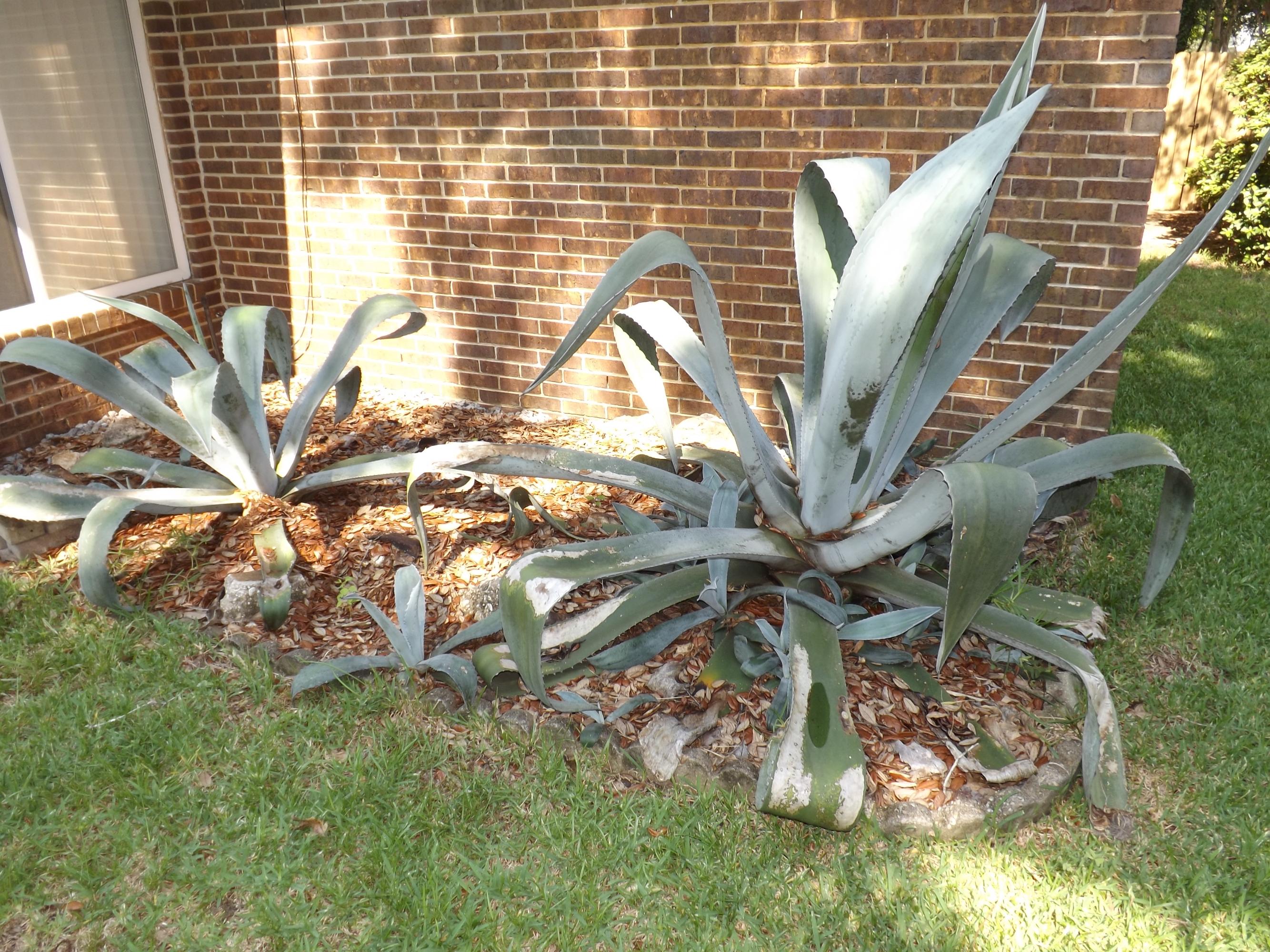 FOREST PARK UNIT 2 - Residential