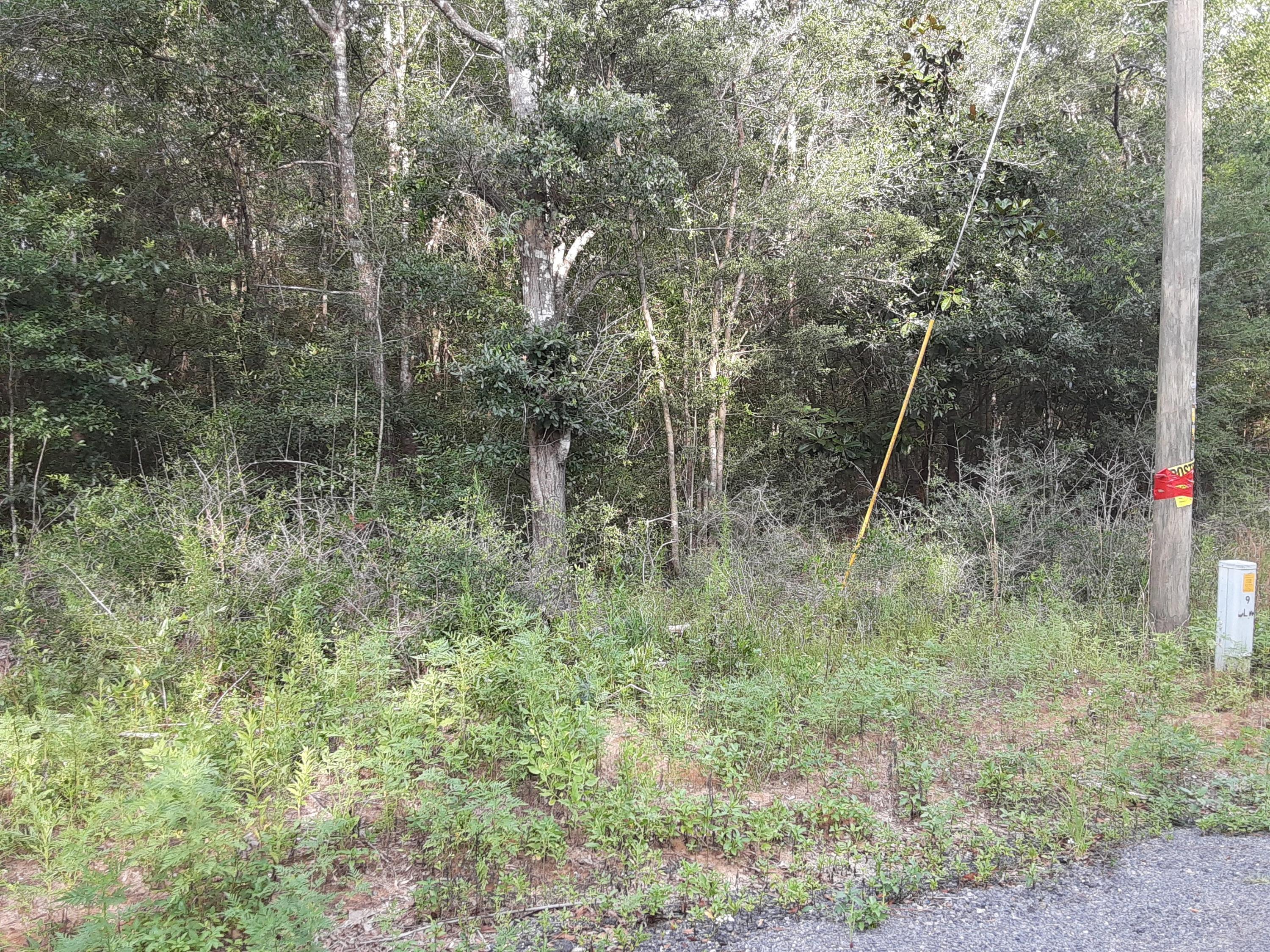 PLANTATIONS THE - Land