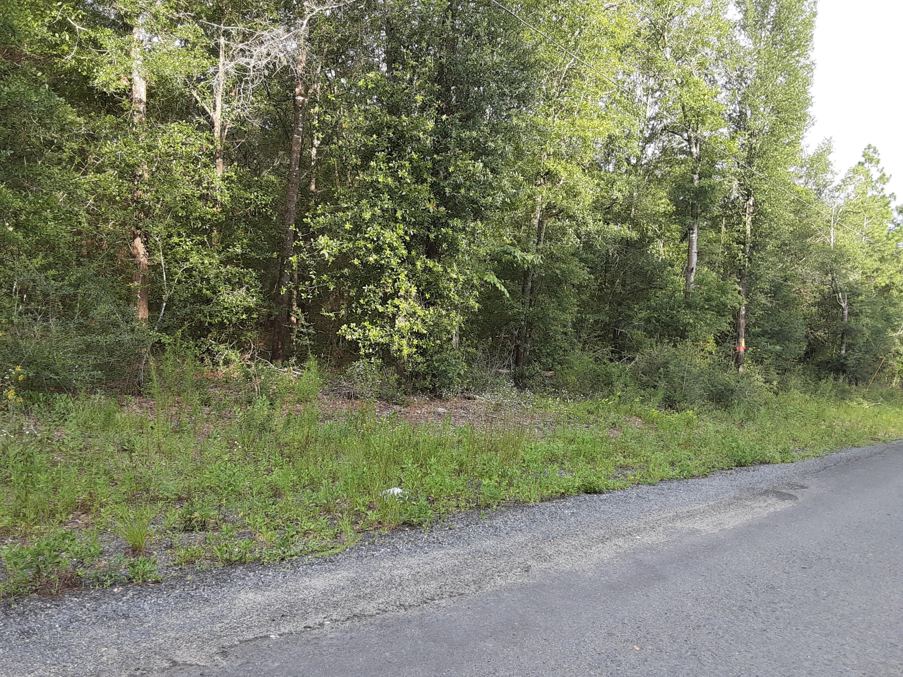 PLANTATIONS THE - Land