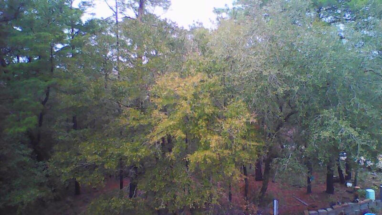 ROCKY BAYOU COUNTRY CLUB ESTATES 9 - Land